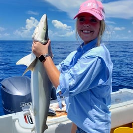 Key West Shark Trips - 29' Sea Vee