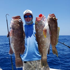 Snowy Grouper Fishing in Key West, Florida