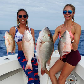 Mutton Snapper Fishing in Key West, Florida