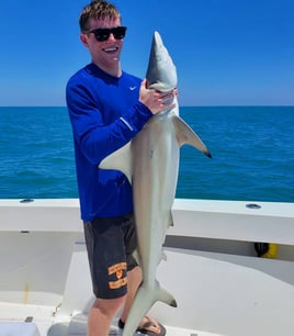 Blacktip Shark Fishing in Key West, Florida