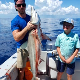 Blacktip Shark Fishing in Key West, Florida