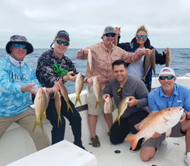 Mutton Snapper, Yellowtail Snapper Fishing in Key West, Florida