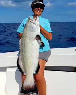 Wreck & Reef Fishing - 29' Sea Vee