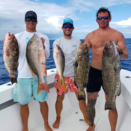 Black Grouper Fishing in Key West, Florida