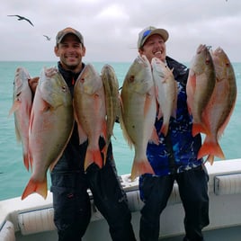 Mutton Snapper Fishing in Key West, Florida