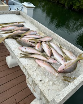 FL Keys Backcountry Fishing