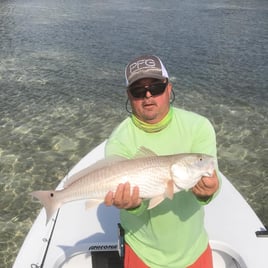 FL Keys Backcountry Fishing