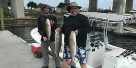 Daytona Beach: Nearshore Reef Fishing