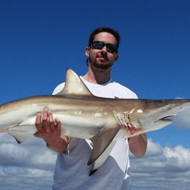 Blacktip Shark Fishing in Port Orange, Florida