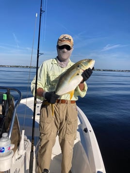 4-8 Hour Trip – Inshore