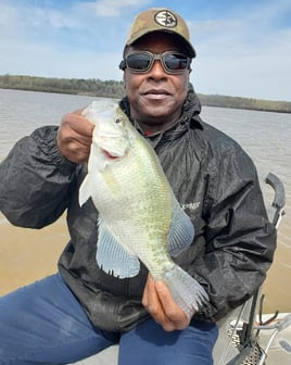 Mississippi's Premier Crappie Fishing at Grenada/Enid/Sardis