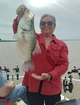 Mississippi's Premier Crappie Fishing at Grenada/Enid/Sardis