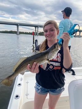 Inshore Fishing Trip - 25’ shearwater