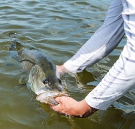 Inshore Fishing Trip - 25’ shearwater