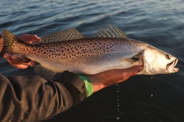 Inshore Fishing Trip - 25’ shearwater