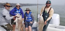 Black Drum Fishing in Galveston, Texas