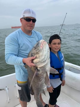 Black Drum Fishing in Galveston, Texas