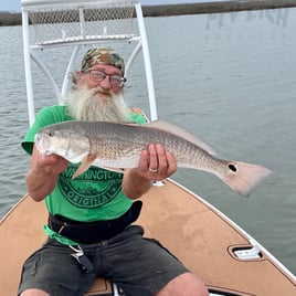 Redfish on the Fly