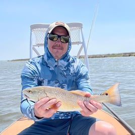 Redfish on the Fly