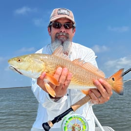 Redfish on the Fly