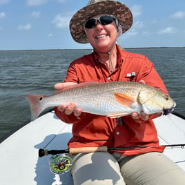 Redfish on the Fly