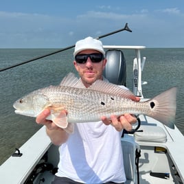 Redfish on the Fly