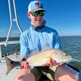 Redfish on the Fly