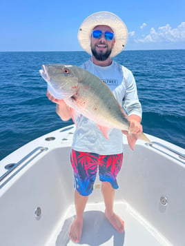 Mutton Snapper Fishing in Jensen Beach, Florida