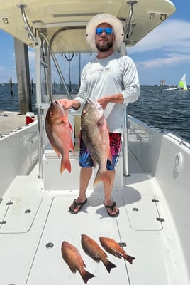 Mangrove Snapper, Mutton Snapper Fishing in Jensen Beach, Florida