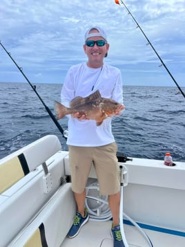 Red Grouper Fishing in Jensen Beach, Florida