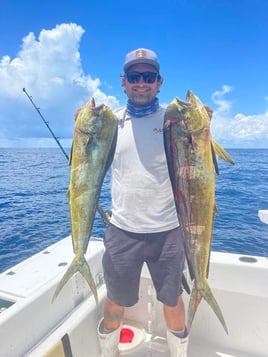 4-8 Hour Trip – Offshore