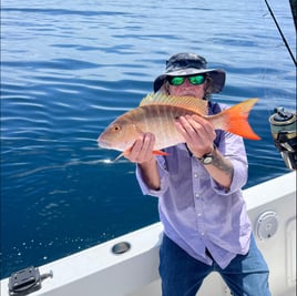 Mutton Snapper Fishing in Jensen Beach, Florida