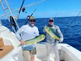 Mahi Mahi Fishing in Fort Pierce, Florida