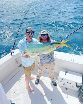 Mahi Mahi Fishing in Fort Pierce, Florida