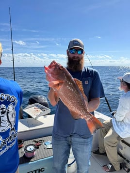 5-9 Hours Offshore Fishing Trip