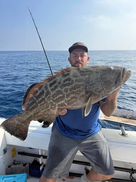 5-9 Hours Offshore Fishing Trip