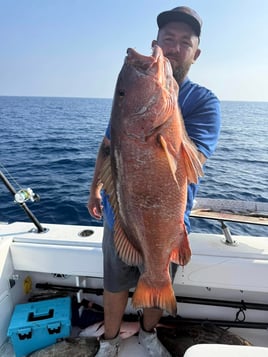 5-9 Hours Offshore Fishing Trip