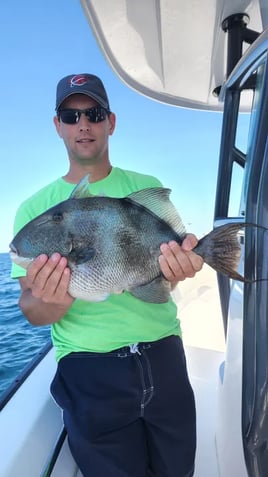 6-Hour NearShore/OffShore Charter