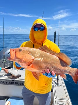 Crystal River Offshore Trip (Up to 50 Miles)