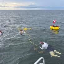 Crystal River Scalloping Trip