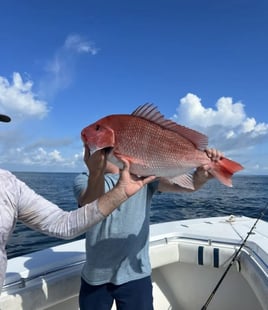 4-10 Hours Fishing Trip – Offshore