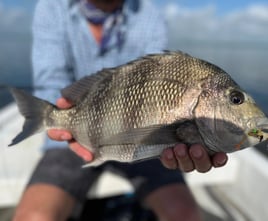 Cancun fly fishing