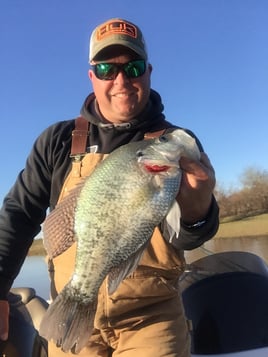 Sniping Giant Crappie with Livescope