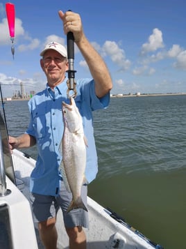 Speckled Trout Fishing in Galveston, Texas