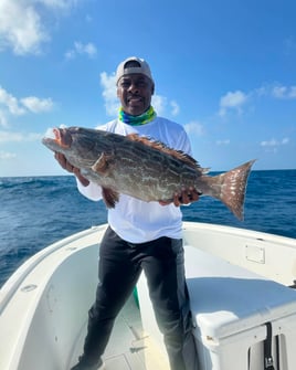 4-6 Hour Fishing Trip wreck/reef/offshore