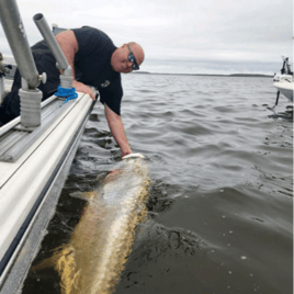 Tarpon Trip