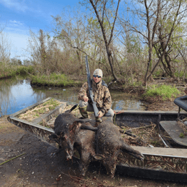 Airboat Hog Hunts