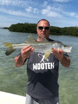 Snook Fishing in Tampa, Florida