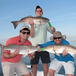 Tampa Bay Inshore Fun (Copy)