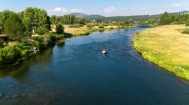 Umpqua River Winter Steelhead